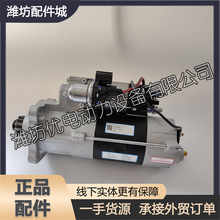 R_әC1008083382R_HBaudouinŰl늙CM