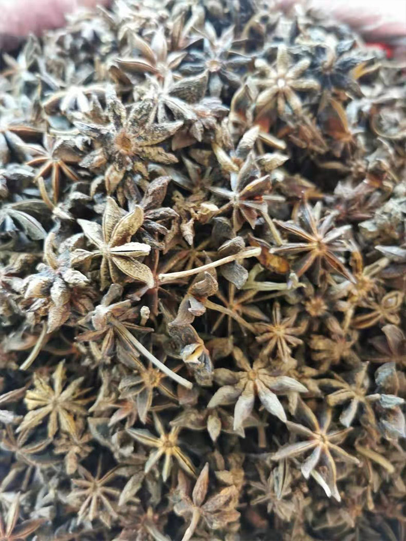 Whole Star Anise Da Hui Xiang Dried Illicium verum Fruit Culinary Spice 500g specifications