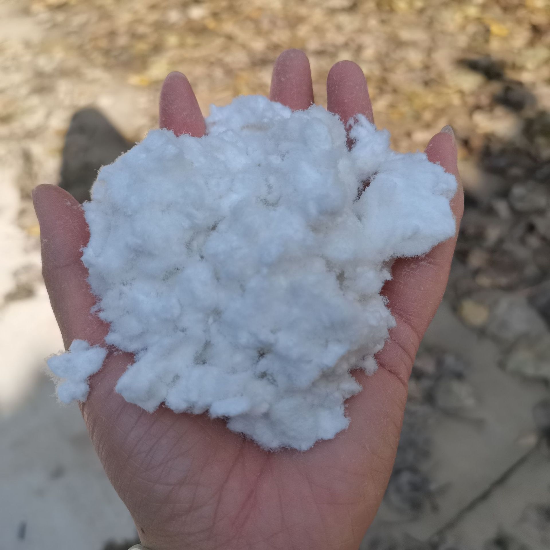 1ad795b9232ff0f4e99949e180f3df