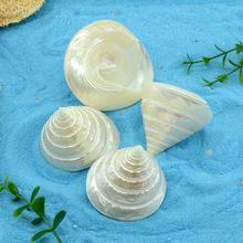 ��Ȼ����ؐ��ҹ��С�������������~���쾰ˮ���b˱��[���zӰ