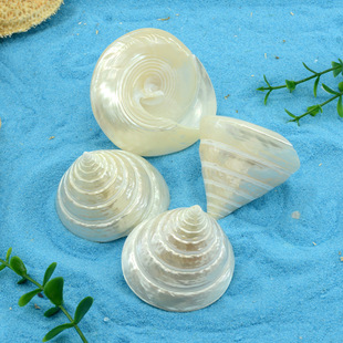 ��Ȼ����ؐ��ҹ��С�������������~���쾰ˮ���b˱��[���zӰ