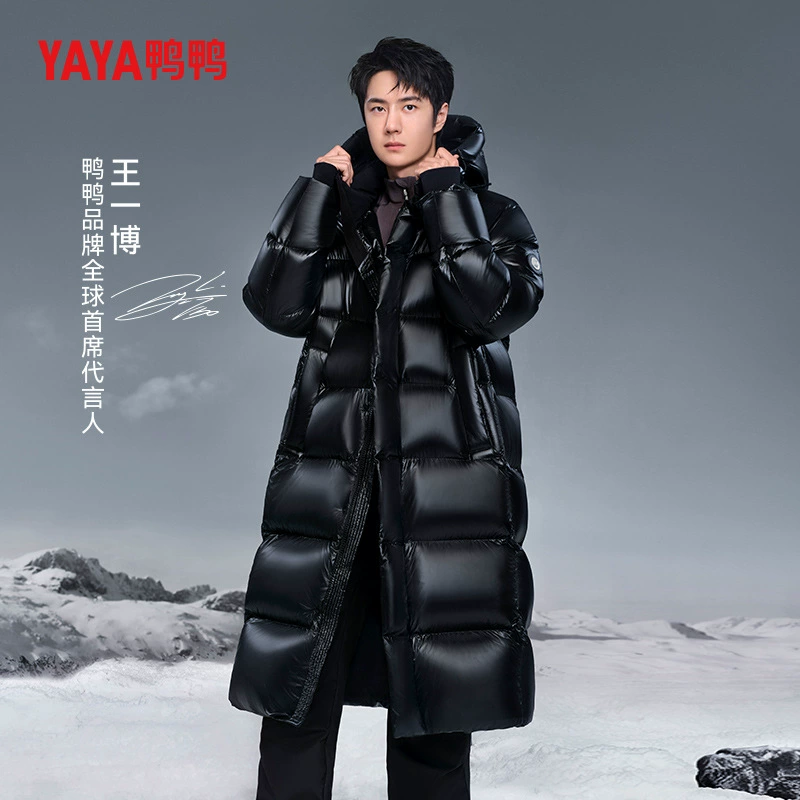 [Черная метка гуси серии] Утиный утиный пуховик 2024 Новый зимний