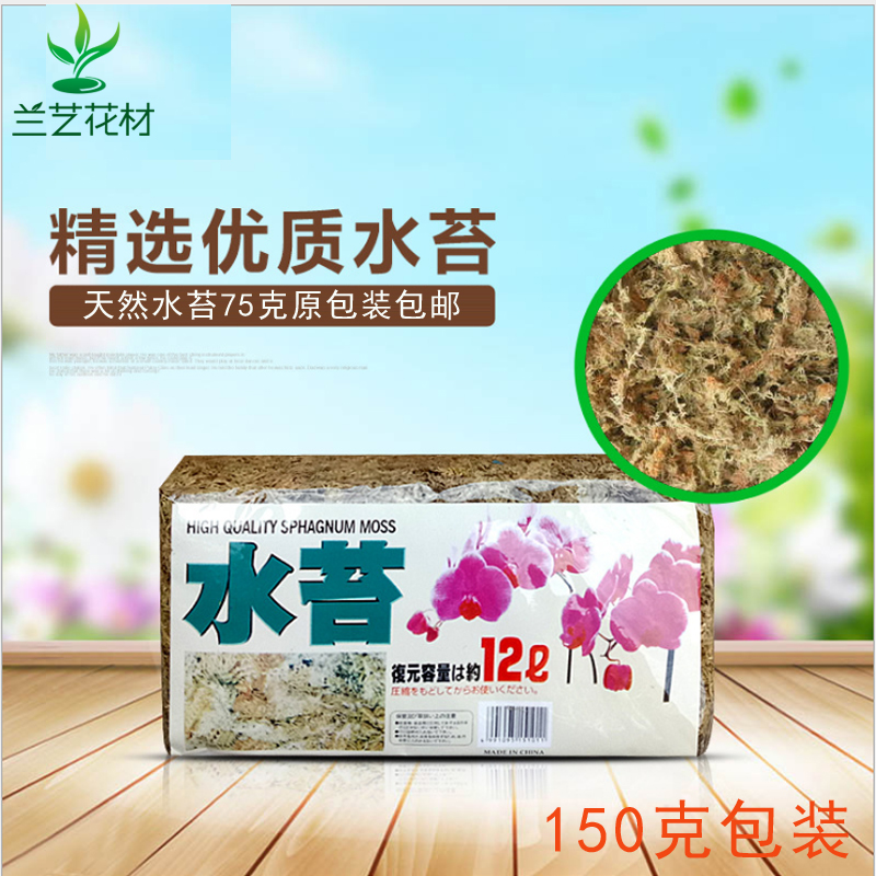 水苔嫁接干苔藓蝴蝶兰君子兰石斛基质植物花卉绿植微景观青苔