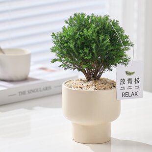 �������Fڡ���Կ͏d�k��������GֲС�辰�����՚ⳣ���ֹ���]