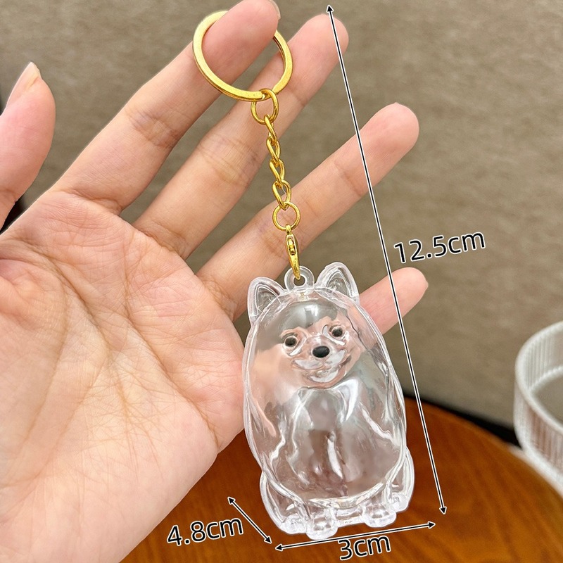 可爱宠物毛发收纳挂饰透明宠物纪念钥匙扣小狗宠物挂牌钥匙扣礼物|undefined