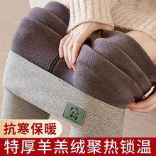 棉羊羔绒冬季打底裤女2025新款高腰保暖加绒加厚外内穿大码纯秋裤