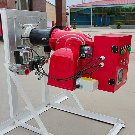Combustible diesel metanol gas natural quemador de gas calderas industriales horno de aceite vegetal China continental