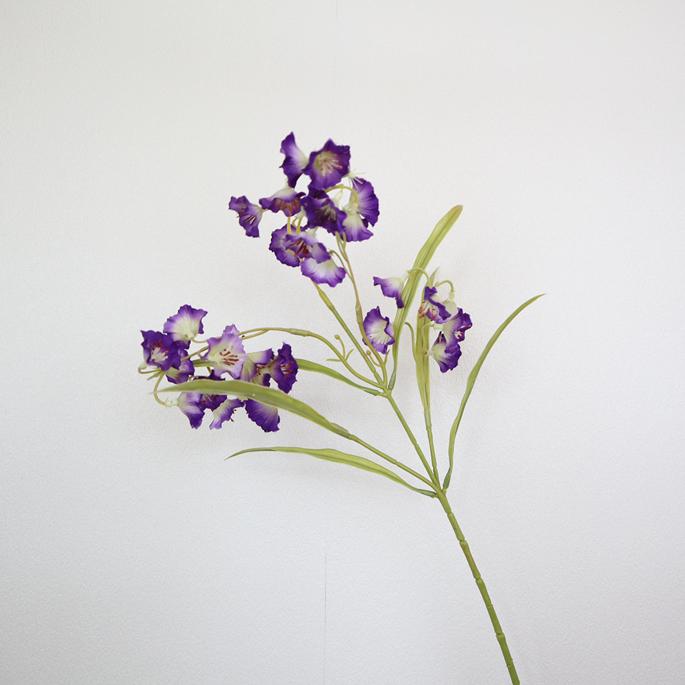 보라색 약 54cm