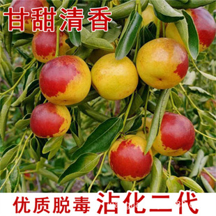 ���Դ�ѩ�������۴�ѩ���½��t������Y�����ۗ���մ������������