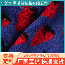 厂家供应羊羔毛提花草莓提花羊羔绒保暖夹克外套童装仿羊羔绒布料