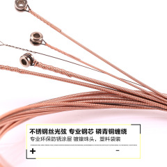 Alice A206 Folk Acoustic Guitar String Guitar String Set 1 String 23456 String Bulk Guitar Accessories