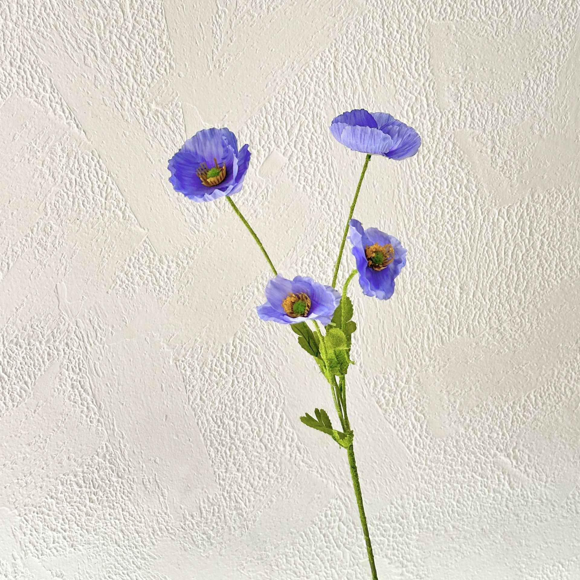 Belleza dorada azul y morada