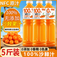 ������5�NFCɳ��֭��ϴ�ƿ1.25L�SC��֭��������