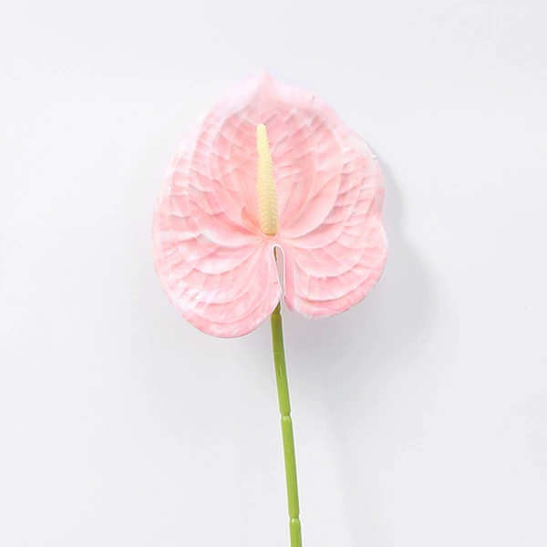Pink red palm