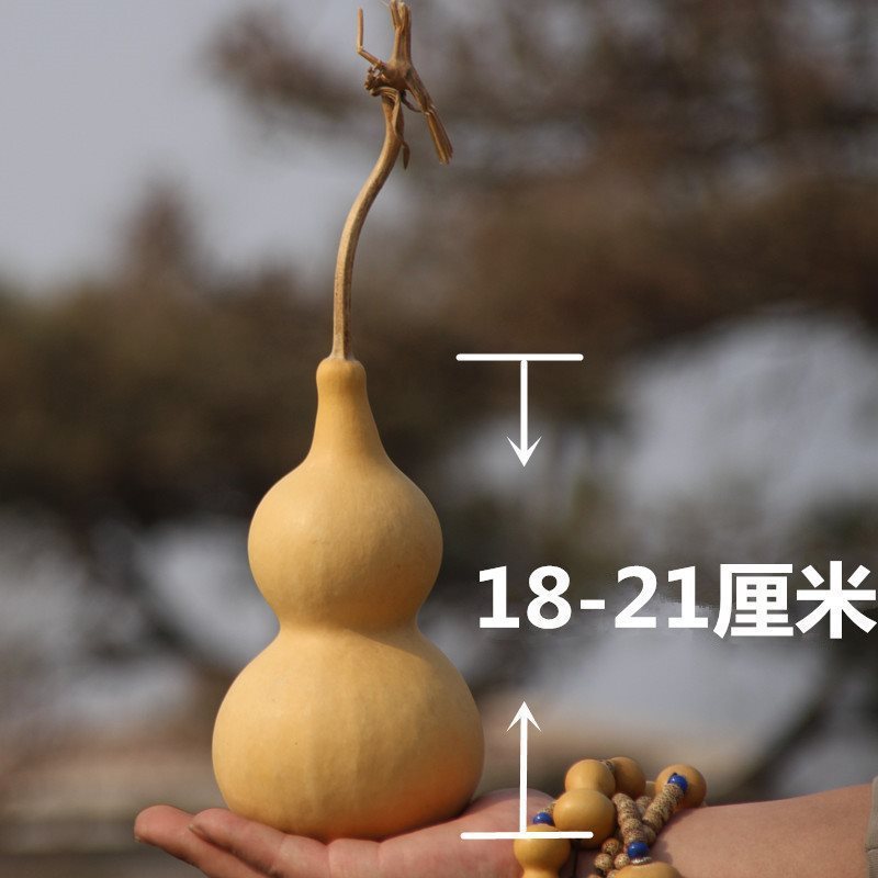 天然ひょうたんペンダント、ホームアクセサリー、蛇口付き特大ひょうたん装飾品、屋内吊り下げ文具、小さなひょうたん|undefined