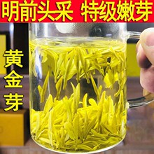 现货2022新茶特级明前黄金芽茶叶春茶绿茶高山正宗嫩芽黄金叶250g