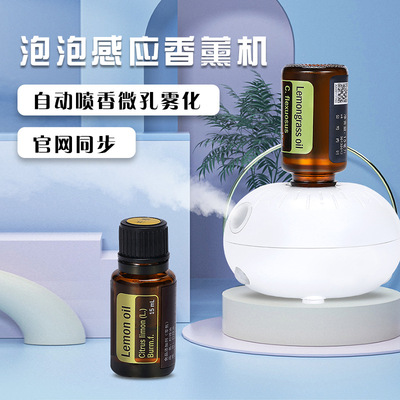 Terry Bubble Aromatherapy Machine charge vehicle Mini essential oil Expansion of incense machine Induction Spray Fragrance machine