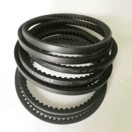 儿童读物;社科生活;四件套