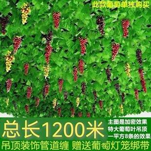 ��䁸�����ͨ���b��~�ӾGɫ���ֲ�����������L����׃��@