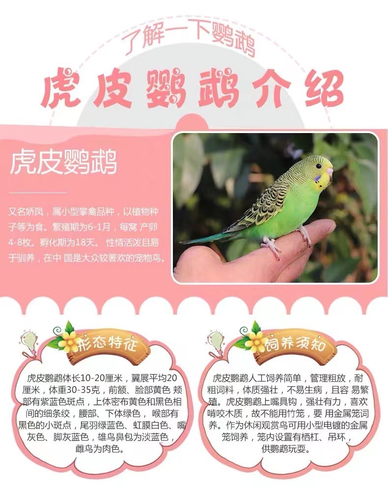 12e710cd-1878-428a-ad9c-d31bc1a0ce03.jpe