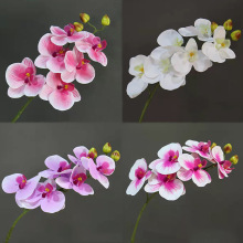 仿真花白色粉色蝴蝶兰绢花假花婚庆婚礼路引花装饰花艺