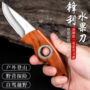 Foreign Trade Fruit Knife Knife Sharp High Hardness Foldable Portable Mini Portable Household Fruit Gift