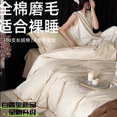 简约高级感100支全棉磨毛四件套裸睡长绒棉提花纯棉被套南通床品
