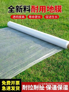 ��ɫ��Ĥ�r�ñ��ر���׵�Ĥ�������ϱ�Ĥ�߲˷N���^����ɫ����Ĥ