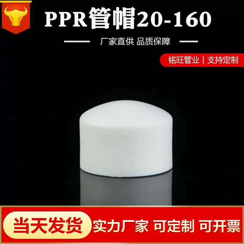 PPR管帽 封头20/25/32/40/50/63/75/90/110/160ppr堵帽水暖管件