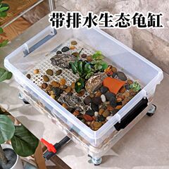 乌龟饲养箱可排水透明带盖生态草龟专用缸家用底滤鱼龟混养周转箱