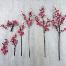 ����÷��֦��ʽ��÷�ٻ��Ҿ��b[����֧�D÷һ��÷�������Q�羳