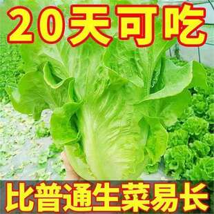 ���Iһ��һ����������˷N���ļ��������ļ������̨�߲˷N�Ӵ�ȫ