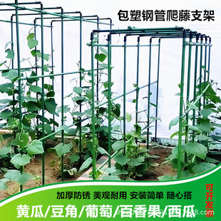 �T�����ټ������S�϶��ǷN�˼�ֲ��֧�ΗU�������t�����������l