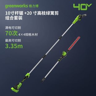 Greenworks 40V Silent Rechargeable Lithium Battery High Branch Saw High Power Professional Pruning