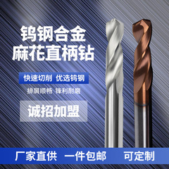 タングステン鋼合金麻花直柄ドリル高速ステンレス鋼鋭利耐摩耗チタンメッキドリルCNC ncドリルを生産する