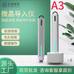 家庭用自動水光液微結晶導入電動水光器具マイクロニードル導入中胚芽微結晶ペン導入器具
