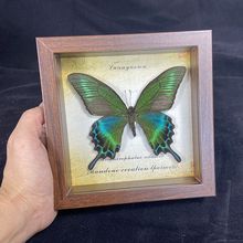 ������˱����ľ�|�b�DIY�͹Ŕ[̨�Ҿ��b����նY��YƷ