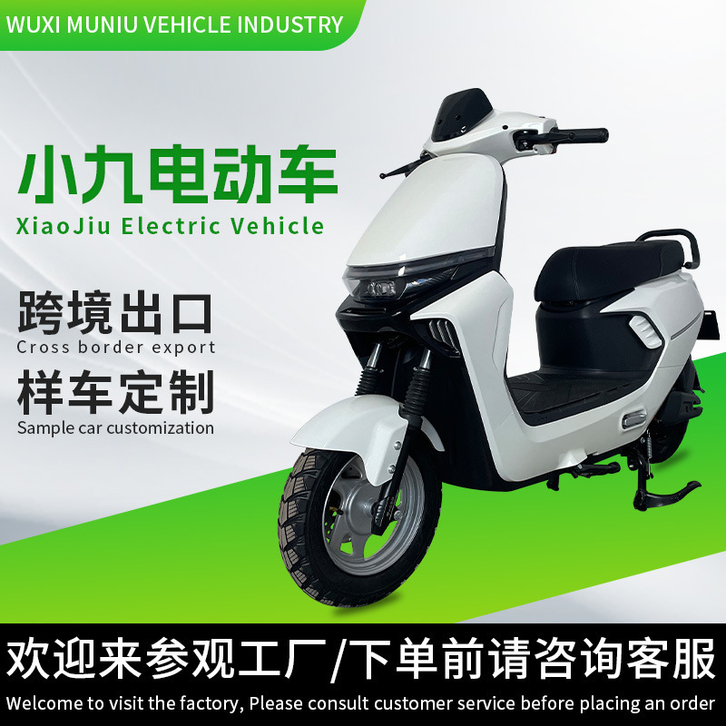 Cross-Border Foreign Trade Electric Vehicle Manufacturer, Takeaway Delivery Electric Motorcycle, Export Scooter, Two-Seater Electric Bike, Long-Distance Electric Vehicle