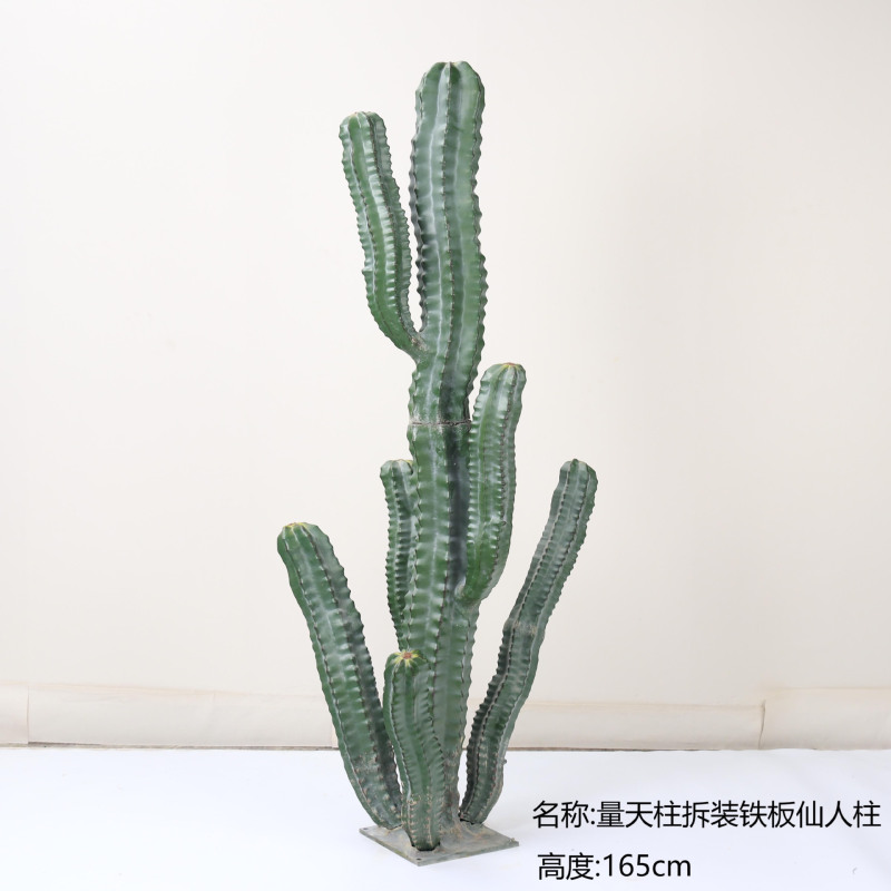 仿真龙神柱仙人掌寄生仙人球摩洛哥沙生植物造景软装样板工程装饰|undefined