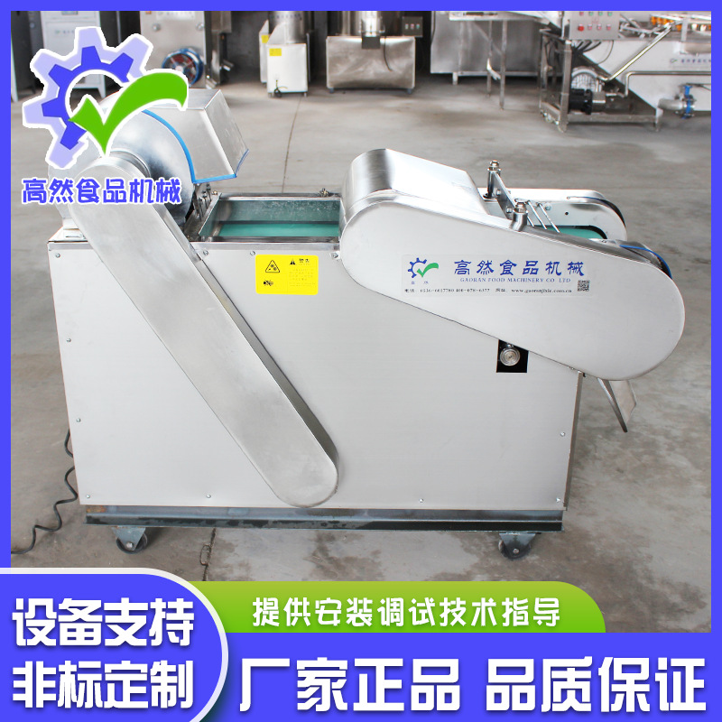 厂家供应洋葱切段机   鲜豆角切段机   韭菜切段机不锈钢材质