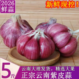 ���������Ƥ�����^5���r���´������F�����r�߲�