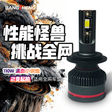 110W܇ledh1h7۹܇bǰ