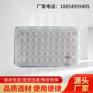 LED explosion-proof lamp workshop warehouse outdoor floodlight explosion-proof chemical plant gas station explosion-proof wholesale flood light
