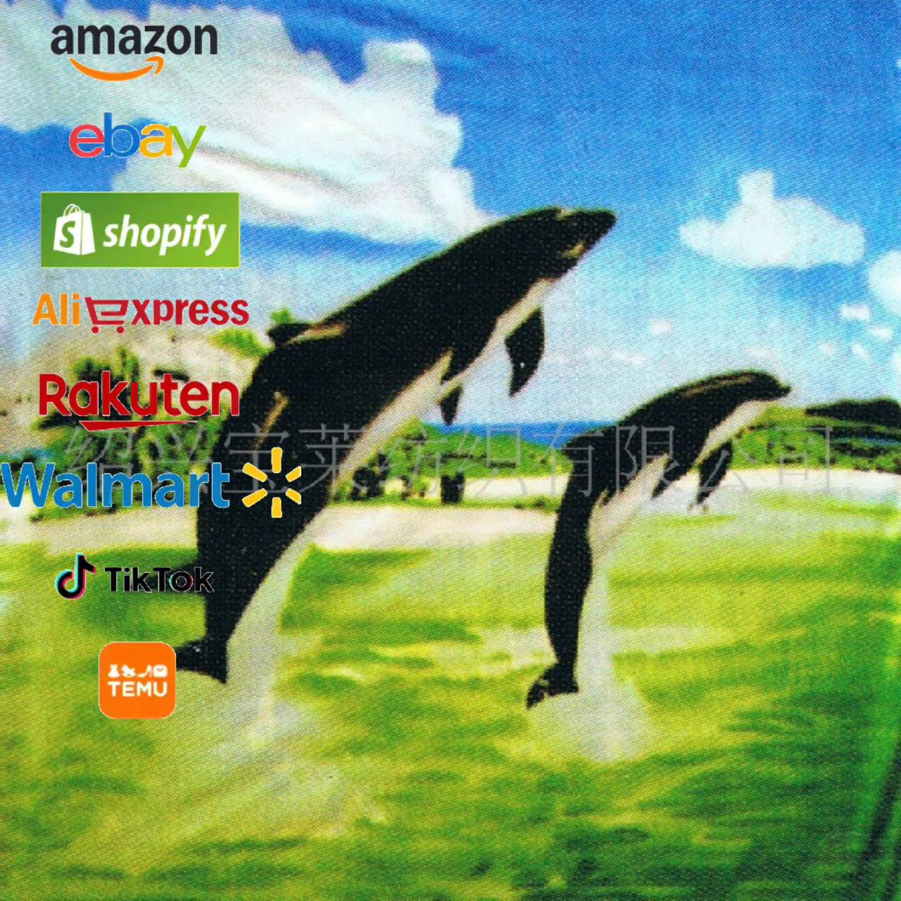 亚马逊爆款法兰绒平网印刷毯子印刷logo球队标志空调毯柔软保暖毯