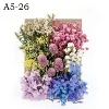 A5-26