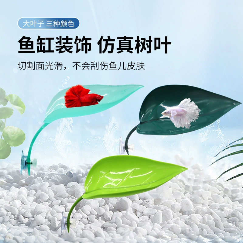 Аквариумные ландшафтное украшение бетта отдыхает листья древесная лягушка