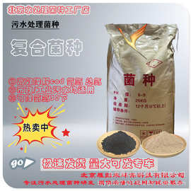 污水处理菌种好氧菌厌氧菌硝化菌反硝化菌复合菌种降氨氮