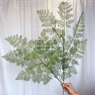 Simulation of fern leaves, asparagus leaves, green plants, leaves feel soft glue decoration, fern plants, flower materials, landscaping, wedding