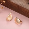 Fashionable glossy earrings, golden accessory, European style, Korean style, pink gold, wholesale