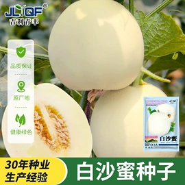 蔬菜种子